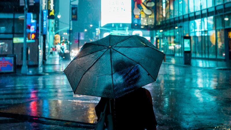 EDITIONED WORK collection preview