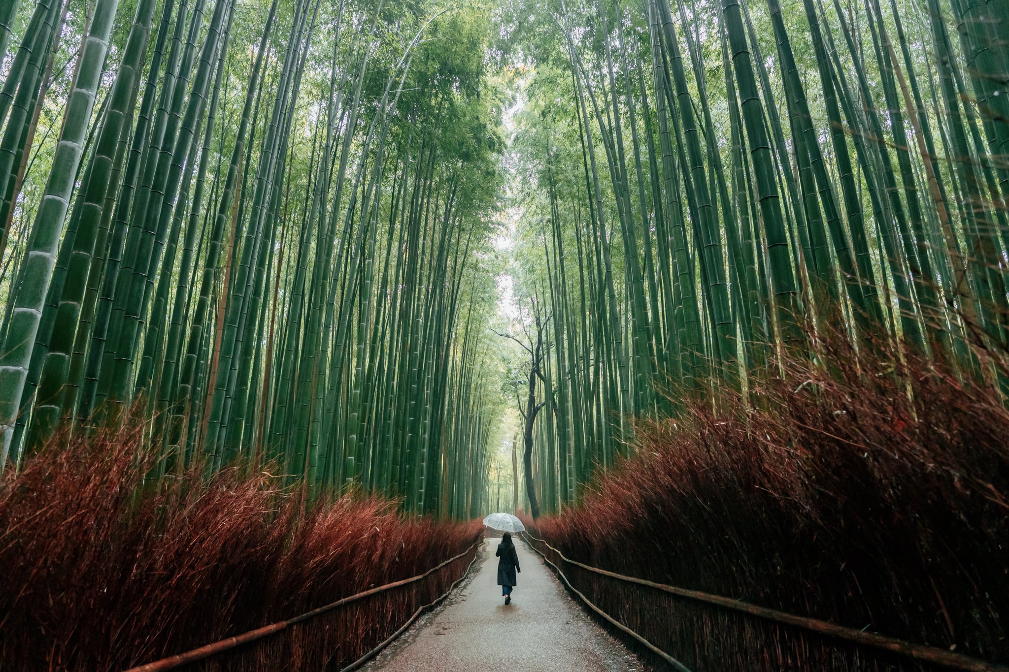 Four Seasons Kyoto — 1