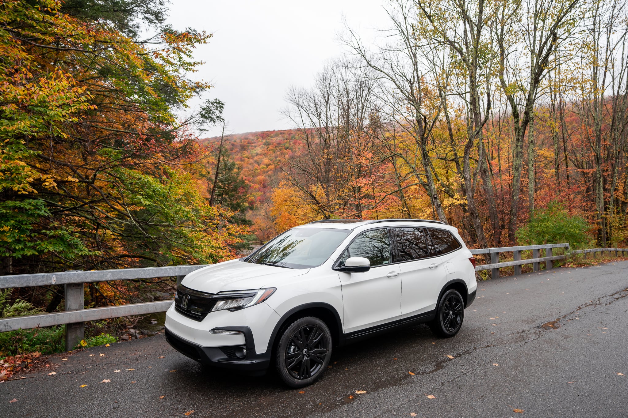 Honda Fall Campaign — 1