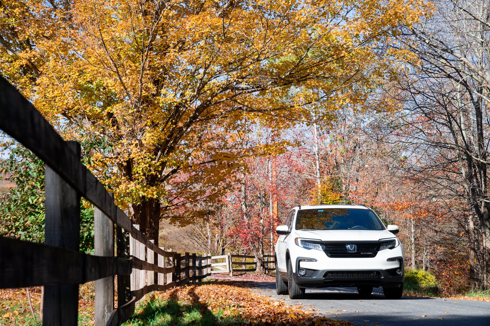 Honda Fall Campaign — 8