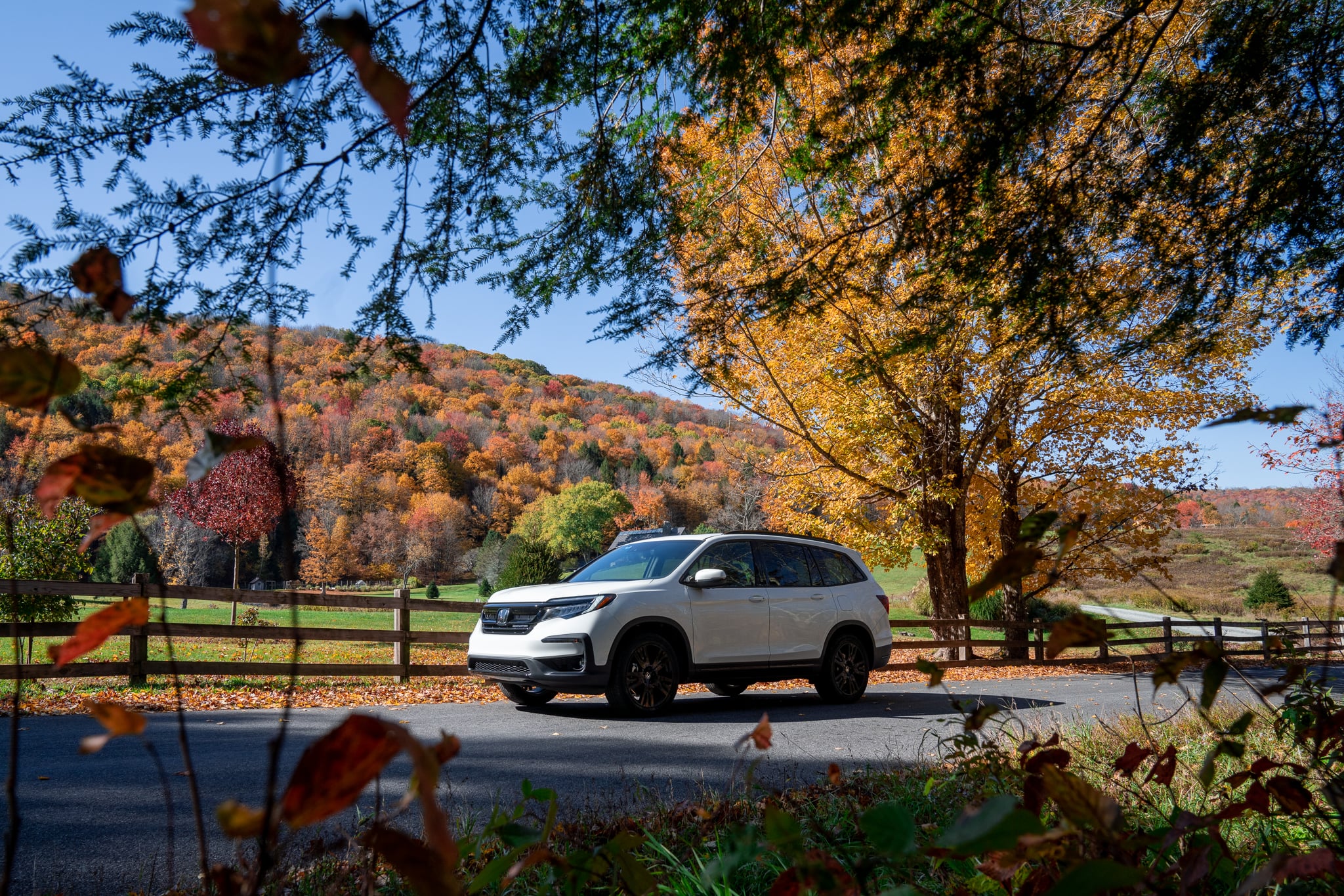 Honda Fall Campaign — 9