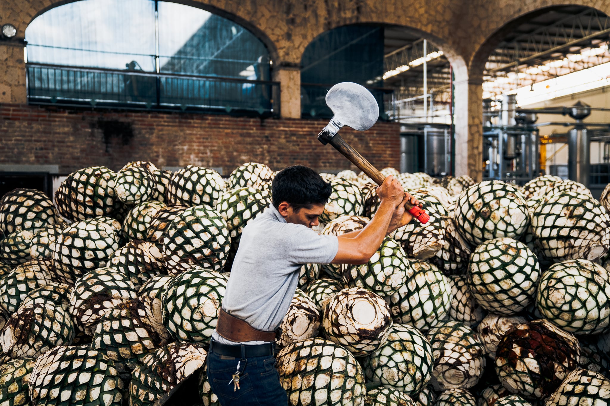 Don Julio Campaign — 10