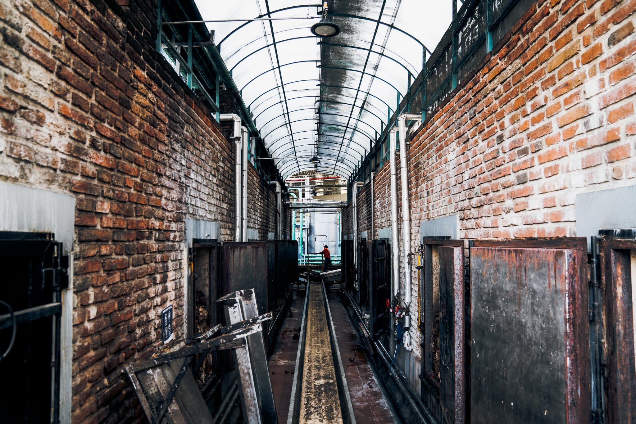 Don Julio Campaign — 11