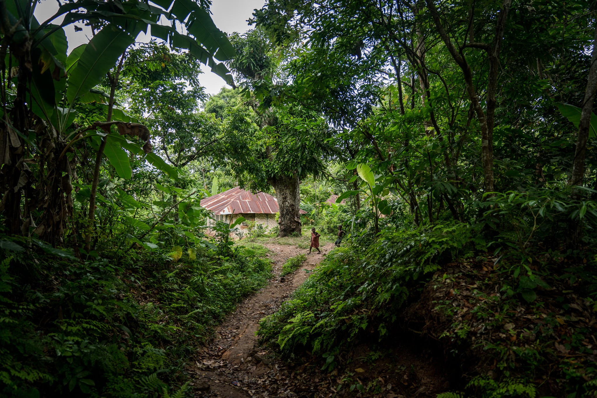 Kin Travel Haiti — 4