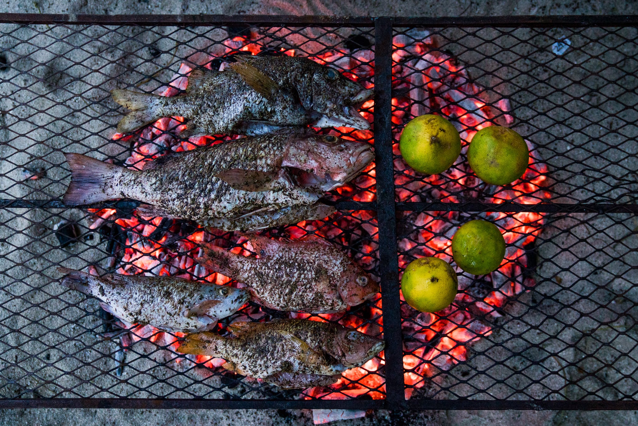 Kin Travel Haiti — 13